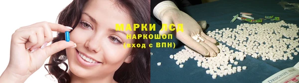 сатива Пролетарск