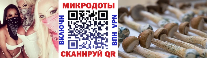 Галлюциногенные грибы Cubensis где купить Егорьевск