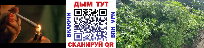 Шишки марихуана сатива  площадка состав  Егорьевск  продажа наркотиков 